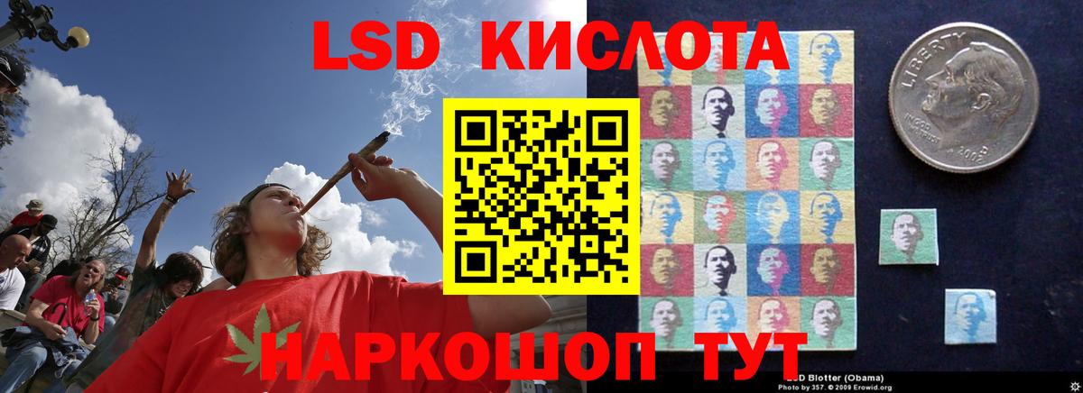 ЛСД экстази кислота Лесной