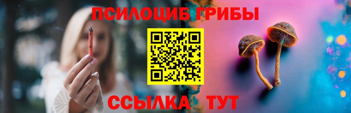 Галлюциногенные грибы мицелий Лесной